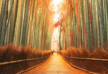 Crouching employee, hidden sentiment Crouching employee, hidden sentiment