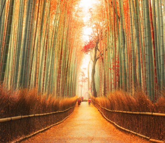 Crouching employee, hidden sentiment Crouching employee, hidden sentiment